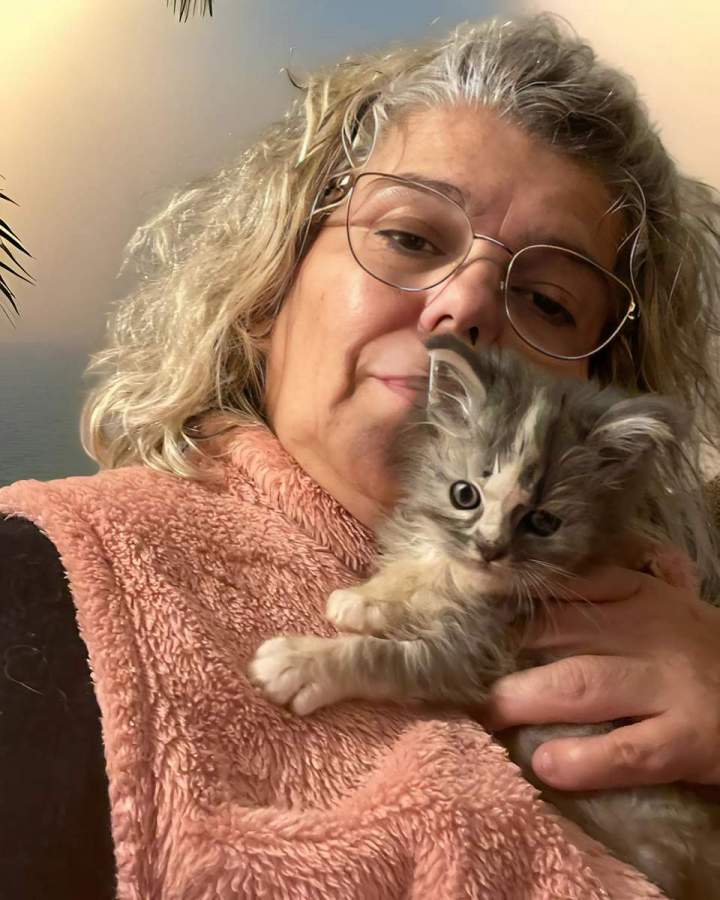 Chatons Maine Coon Haute-Loire